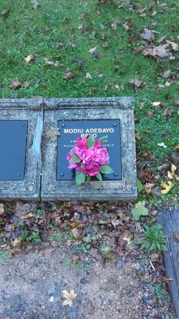 Grave marker with pink flowers on green grass and fallen leaves.
