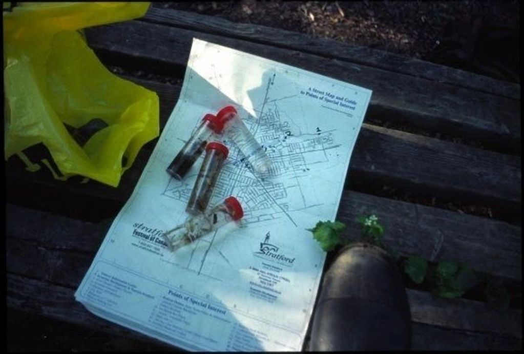 Vials with substances on a map and a boot with green leaves.