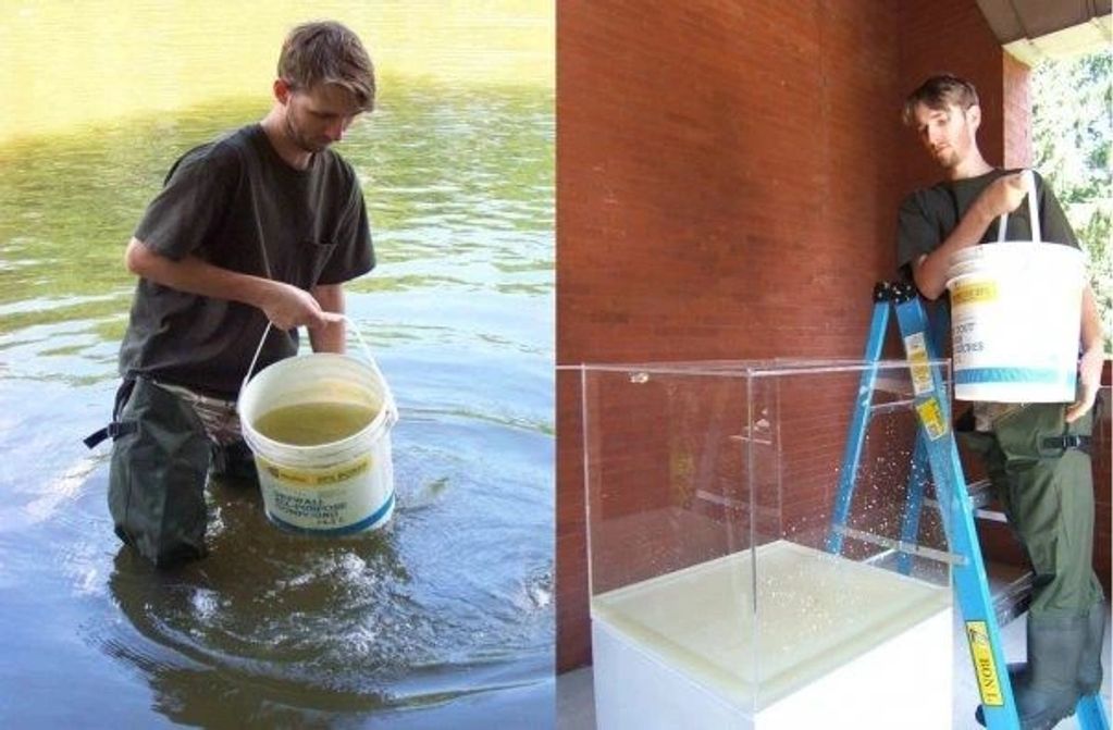 Man collects water from a river and pours it into a tank.