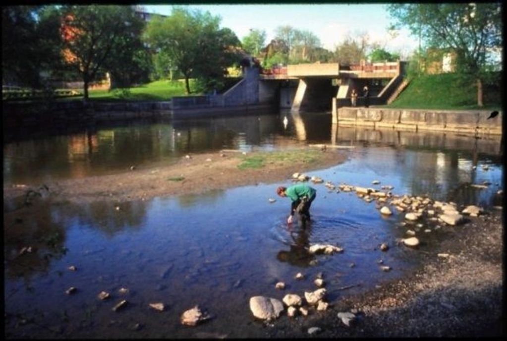 Person in a green jacket wading in shallow water near a bridge.