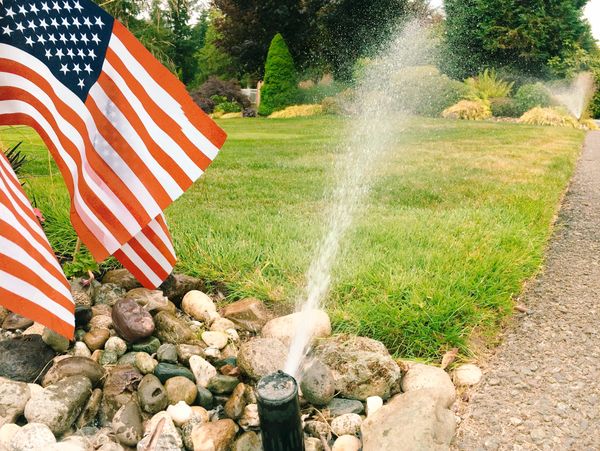 American flags near a lawn sprinkler watering a garden.