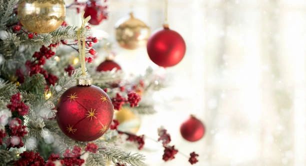 echelon cycles reviews