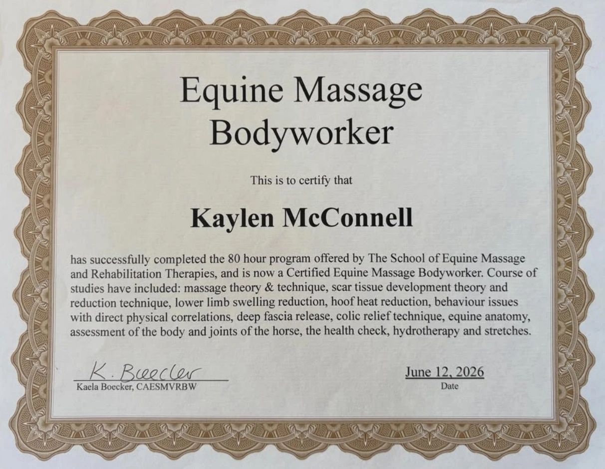Certificate for Kaylen McConnell as Certified Equine Massage Bodyworker.