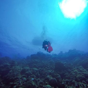 Diver underwater