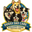 Doggy Daycare Trafford Park