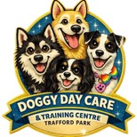 Doggy Daycare Trafford Park