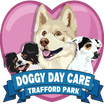 Doggy Daycare Trafford Park
