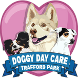 Doggy Daycare Trafford Park