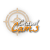 Crawl Cams