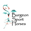 Burgeon Sort Horses