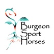 Burgeon Sport Horses