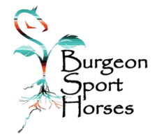 Burgeon Sort Horses