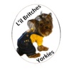L'il Britches Yorkies