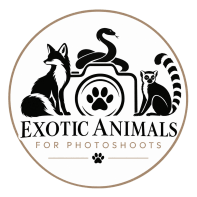 Exotic Animals for Photoshoots