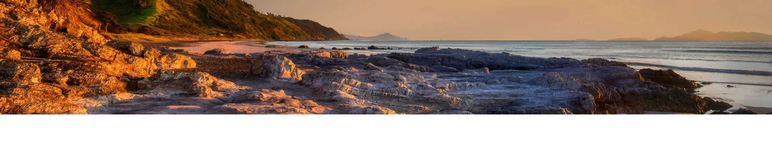 ABOUT US | Insurance Hub