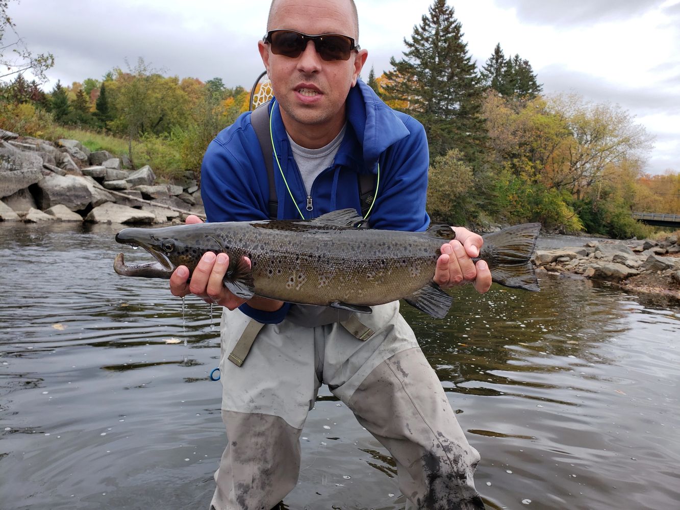 Ian Scenna, Fly Fishing Guide, holding a 24 inch landlocked Salmon on the Clyde River in Vermont.