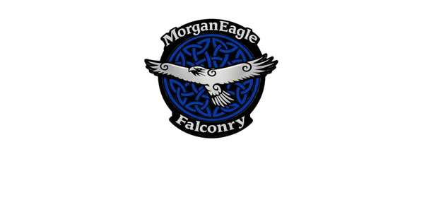 Morgan Eagle Falconry logo with stylized eagle and blue Celtic knot.