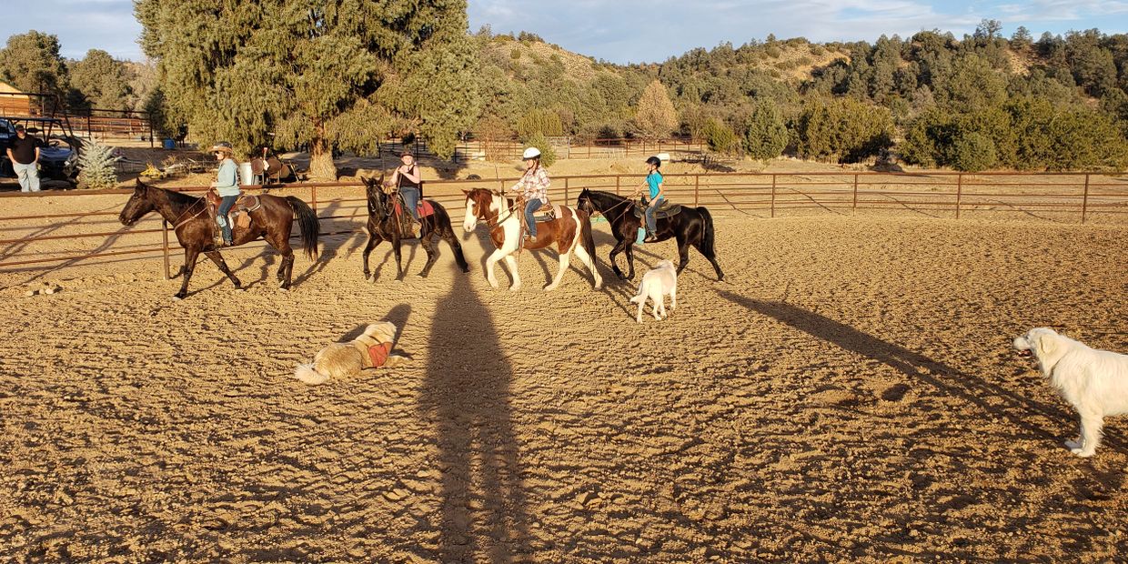 Riding Lessons