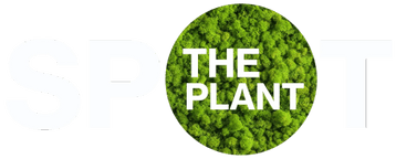 The Plant Spot