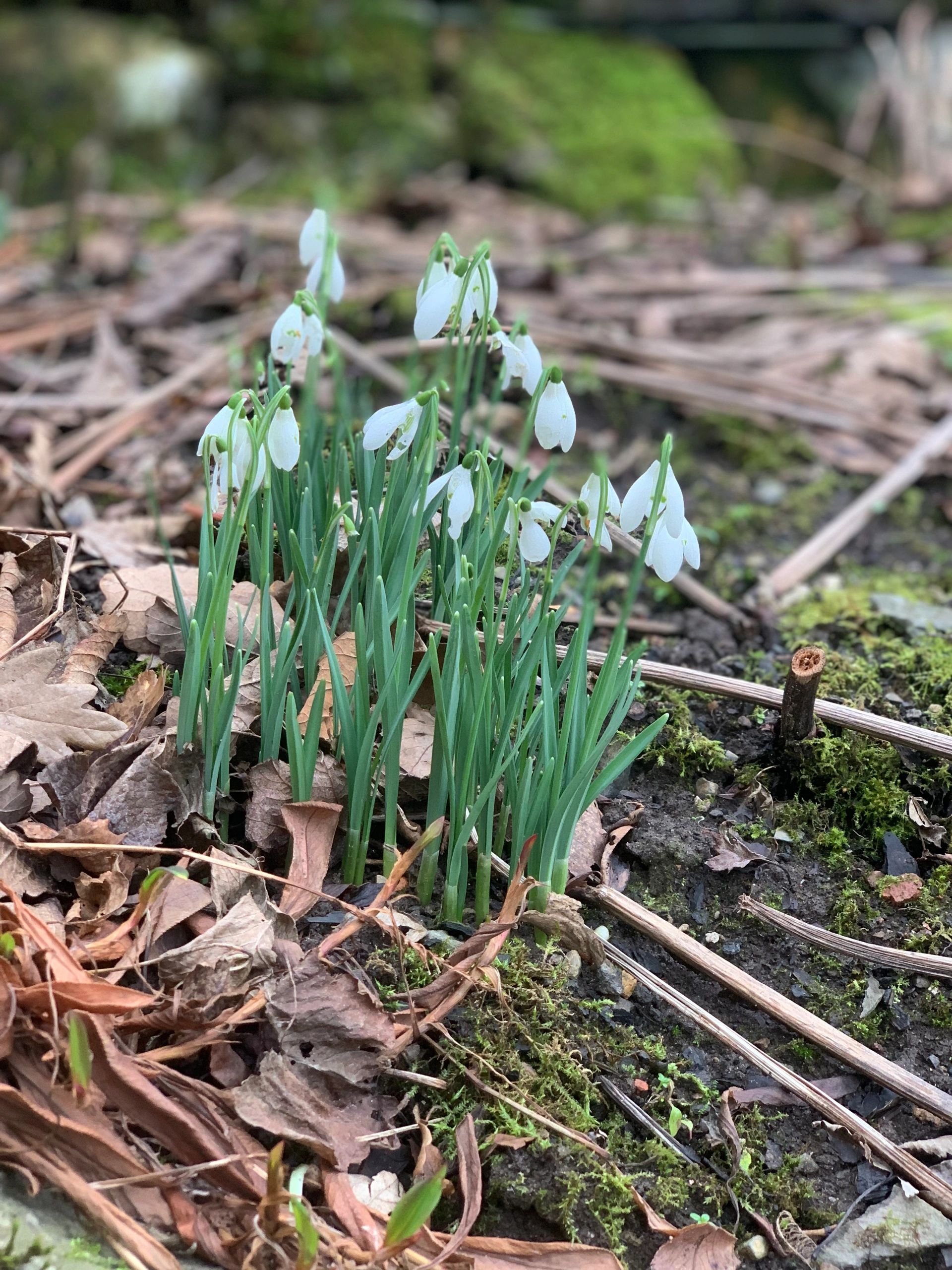 4 great reasons to enjoy an Spring escape!