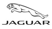 Jaguar logo with a leaping jaguar above the brand name.