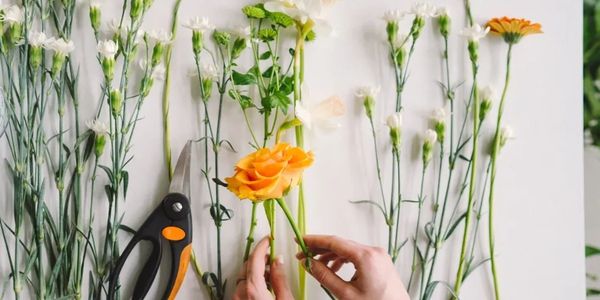 Cut flowers for preserving