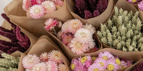 Bunches of pretty dried flowers