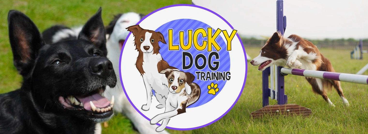 (c) Luckydogtraining.co.uk