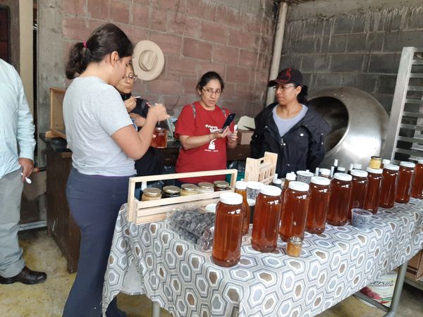 miel
productos naturales
zero waste
bioalei