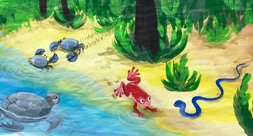 Animals move