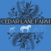 Cedar Lane Farm | Exceptional, Versatile Haflinger Horses