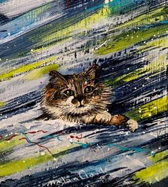 Minou dÉrica