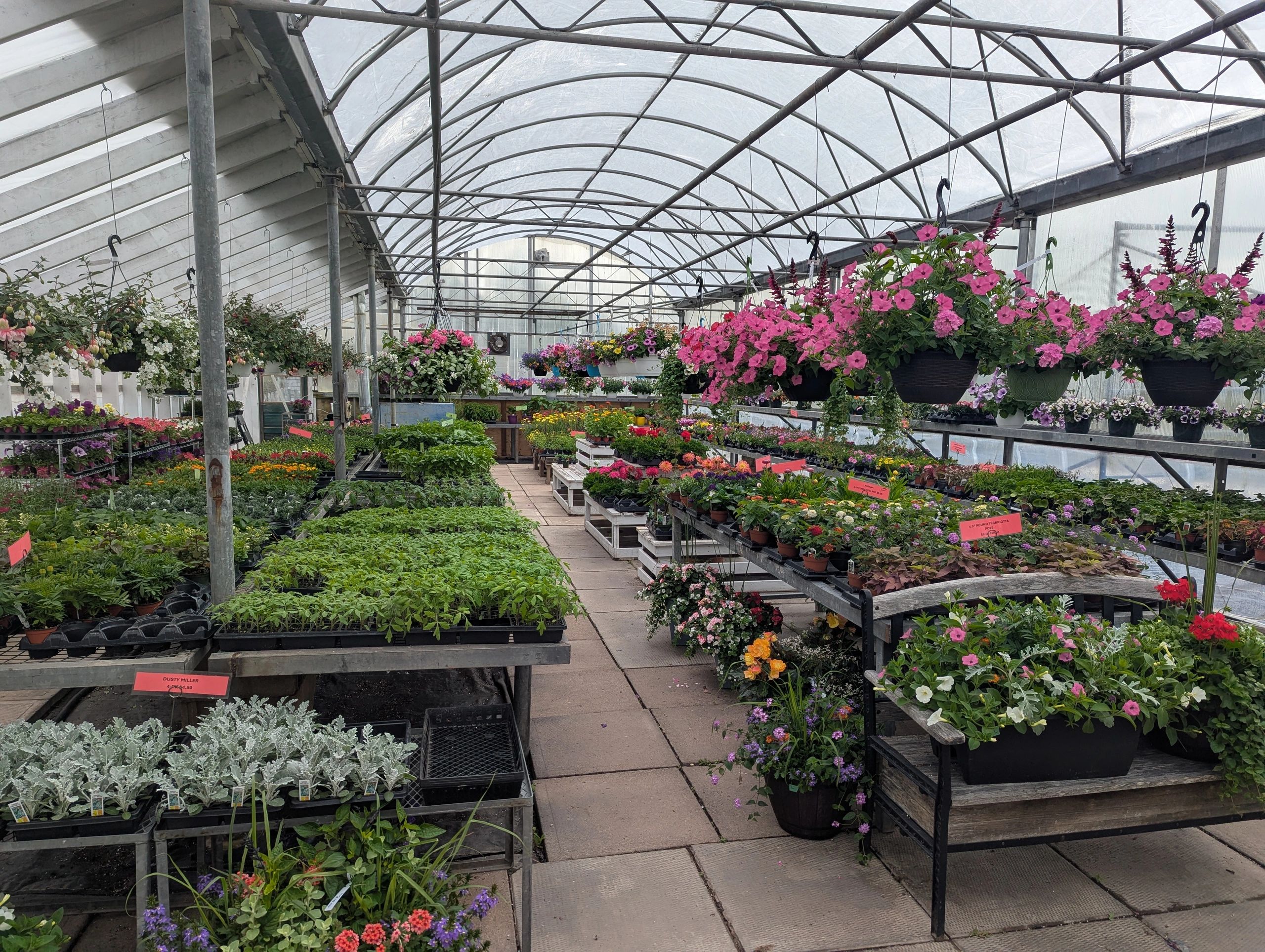 Home [marieswestrivergreenhouses.ca]