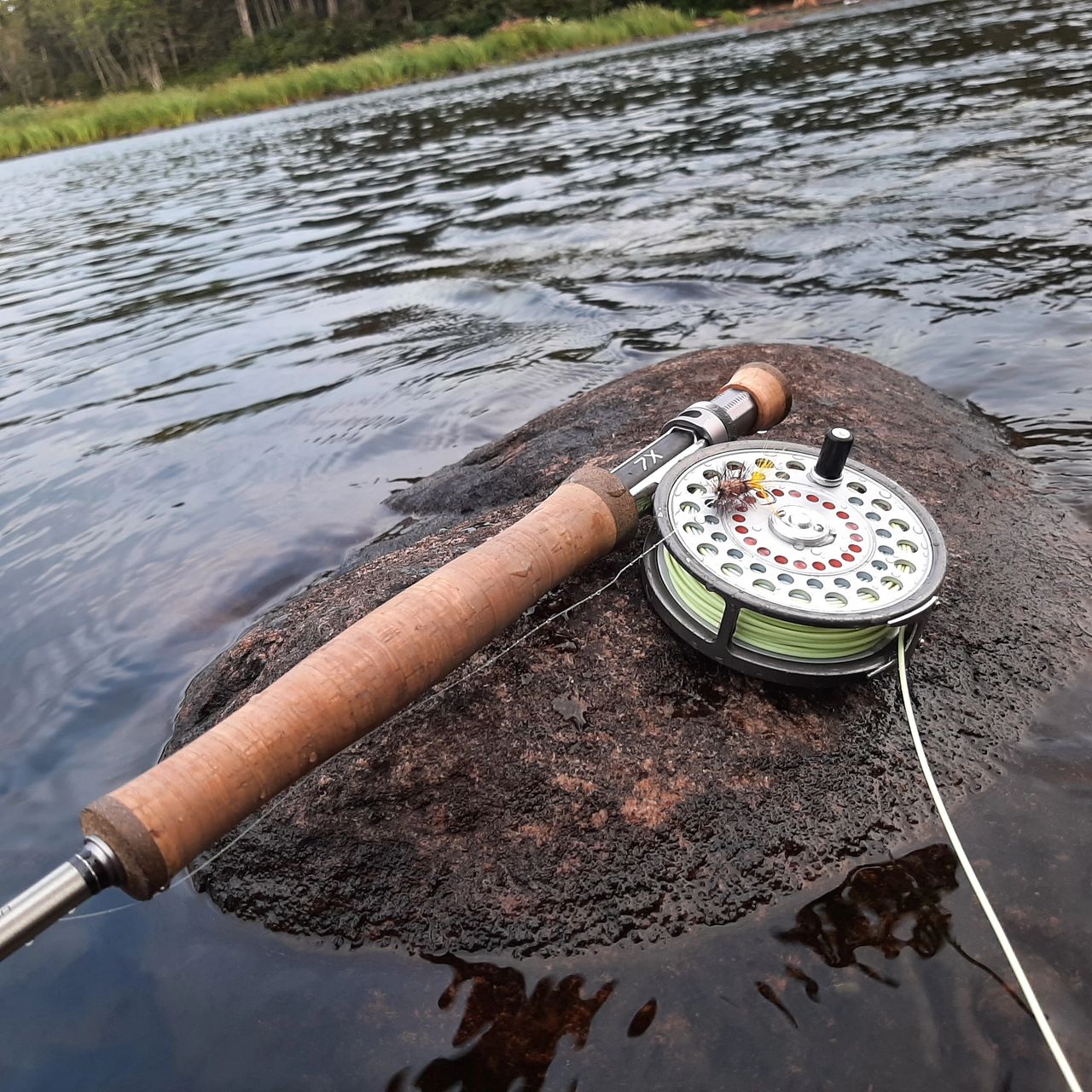 Newfoundland Grilse Stick: Loop 7X, 6 Weight (690-4MF) Review