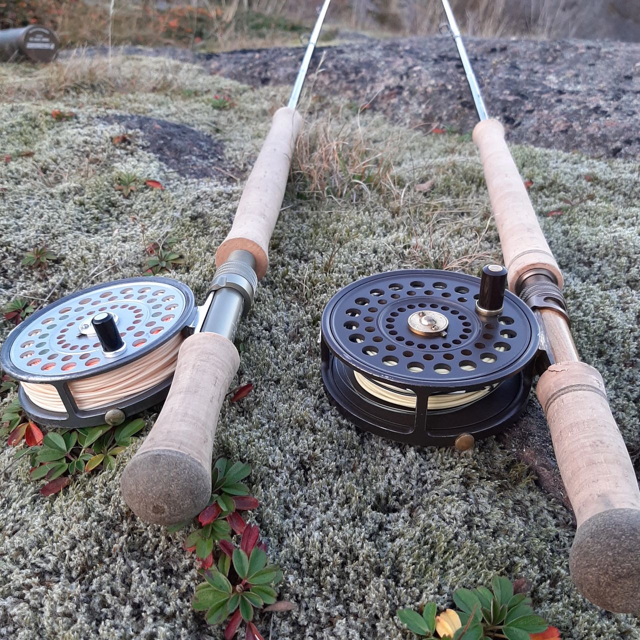 Sage Trout Fly Reel - Hook, Line and Sinker - Guelph's #1 Tackle