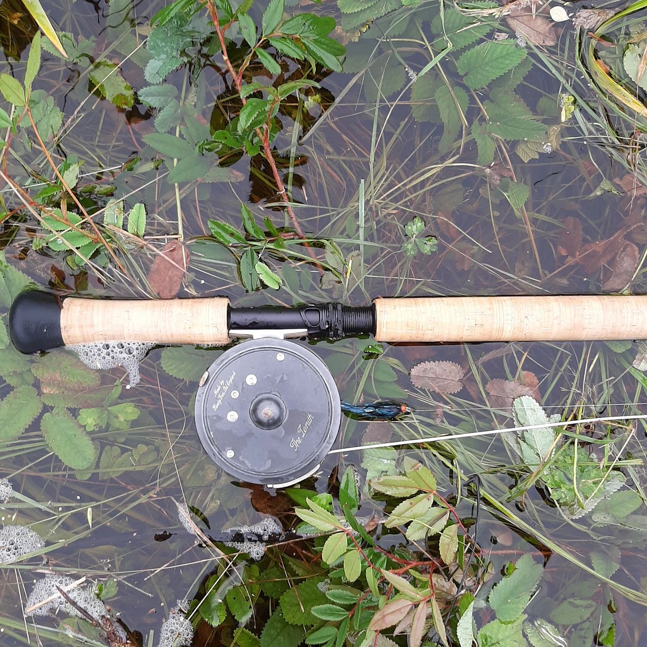 12' 5wt Sage X Spey Review: Niche, But Nice