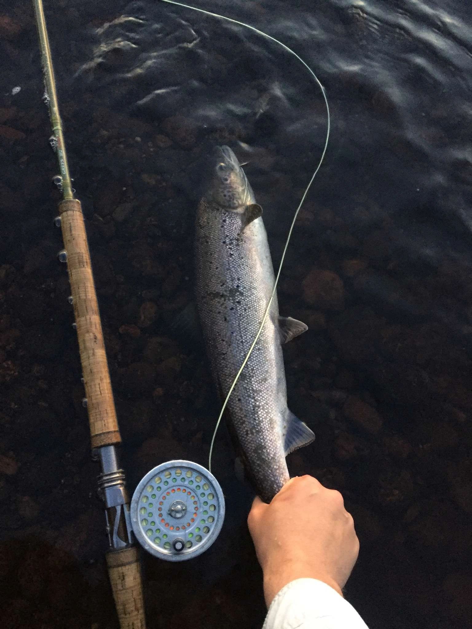 Salmon Fly Fishing Rods – Landers Outdoor World - Ireland's