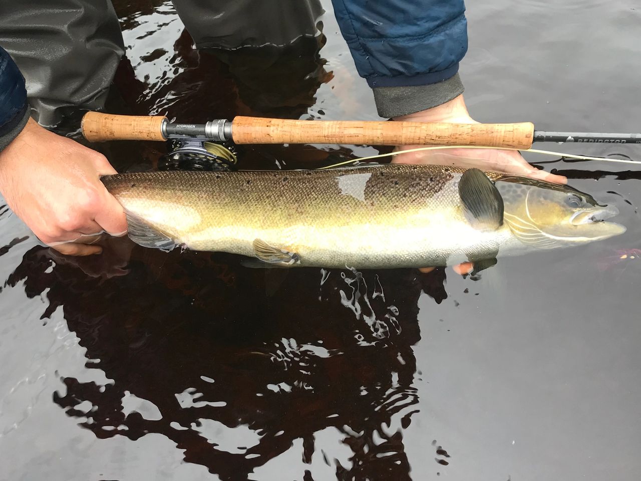 Newfoundland Spey: Select a Spey Rod for NL Atlantic Salmon