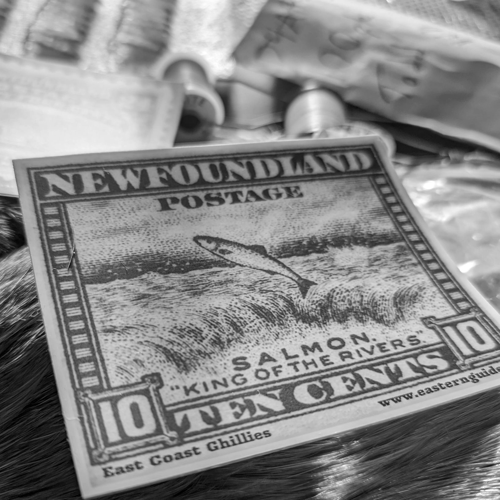 gift-certificates-east-coast-ghillies-guiding-collective