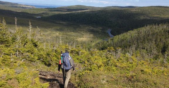 salmon
eco-tourism
fly fishing
Avalon
St. John's
Newfoundland
camping
hiking
Atlantic salmon