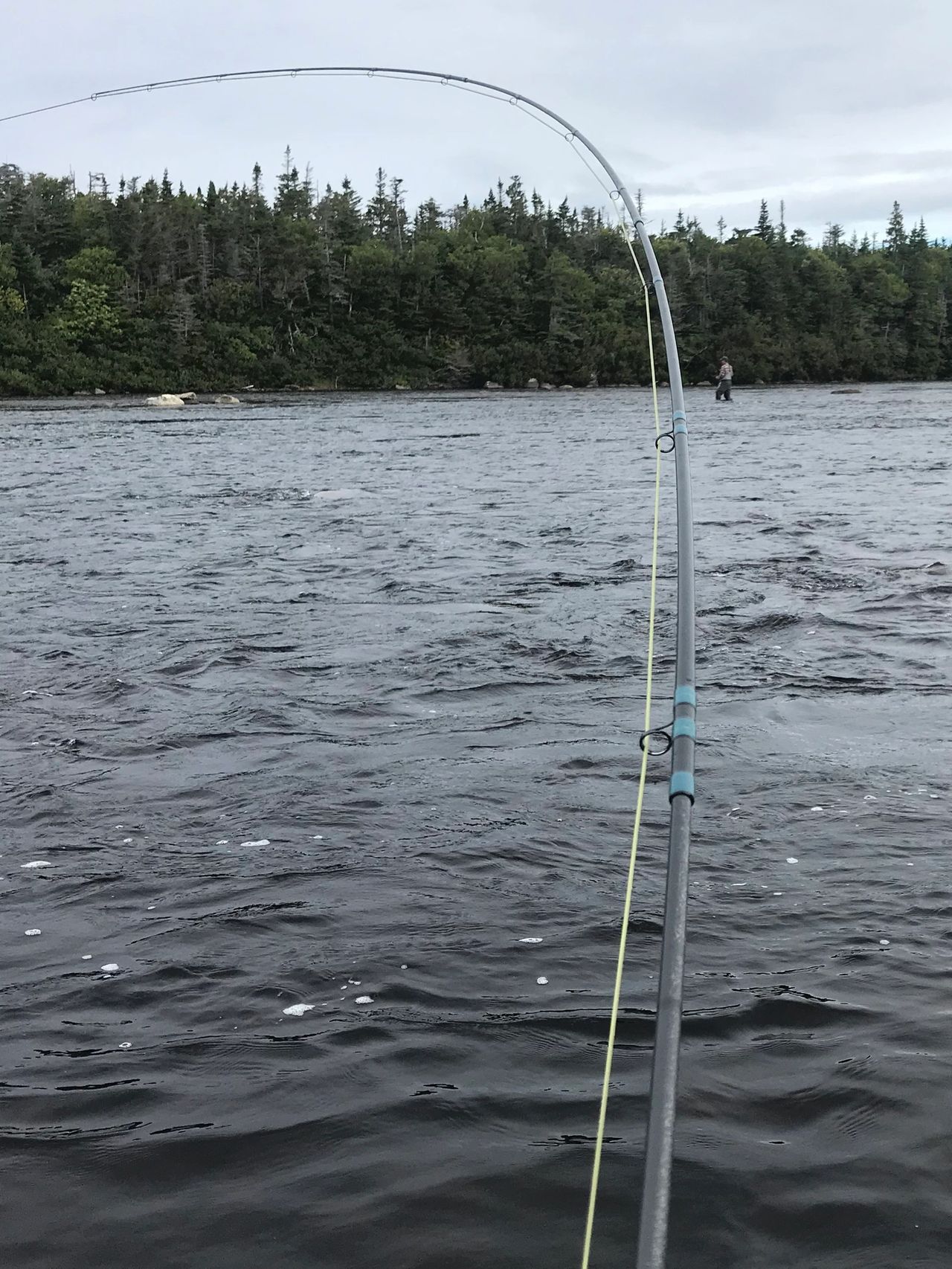 G.Loomis NRX+ 13'3" 7wt Review: Predictable Power