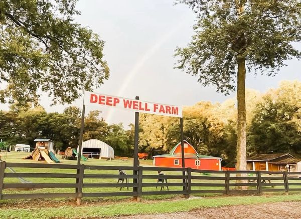 Deep Well Farm entrance with a rainbow in the background.