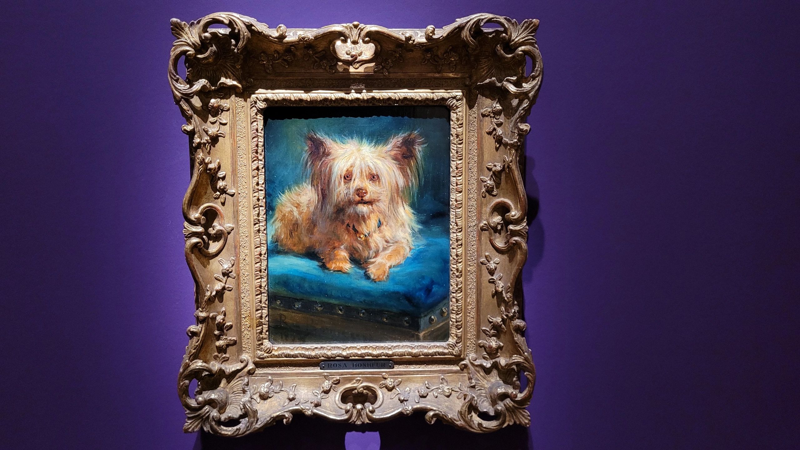 Rosa Bonheur Exhibit in Museum D'Orsay