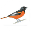 Oriole Golf & Tennis Club Condominium Two Association, Inc.

