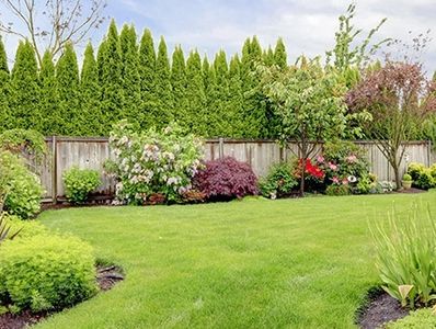 Well-maintained backyard garden with green lawn and diverse shrubs.