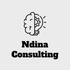 Ndina Consulting