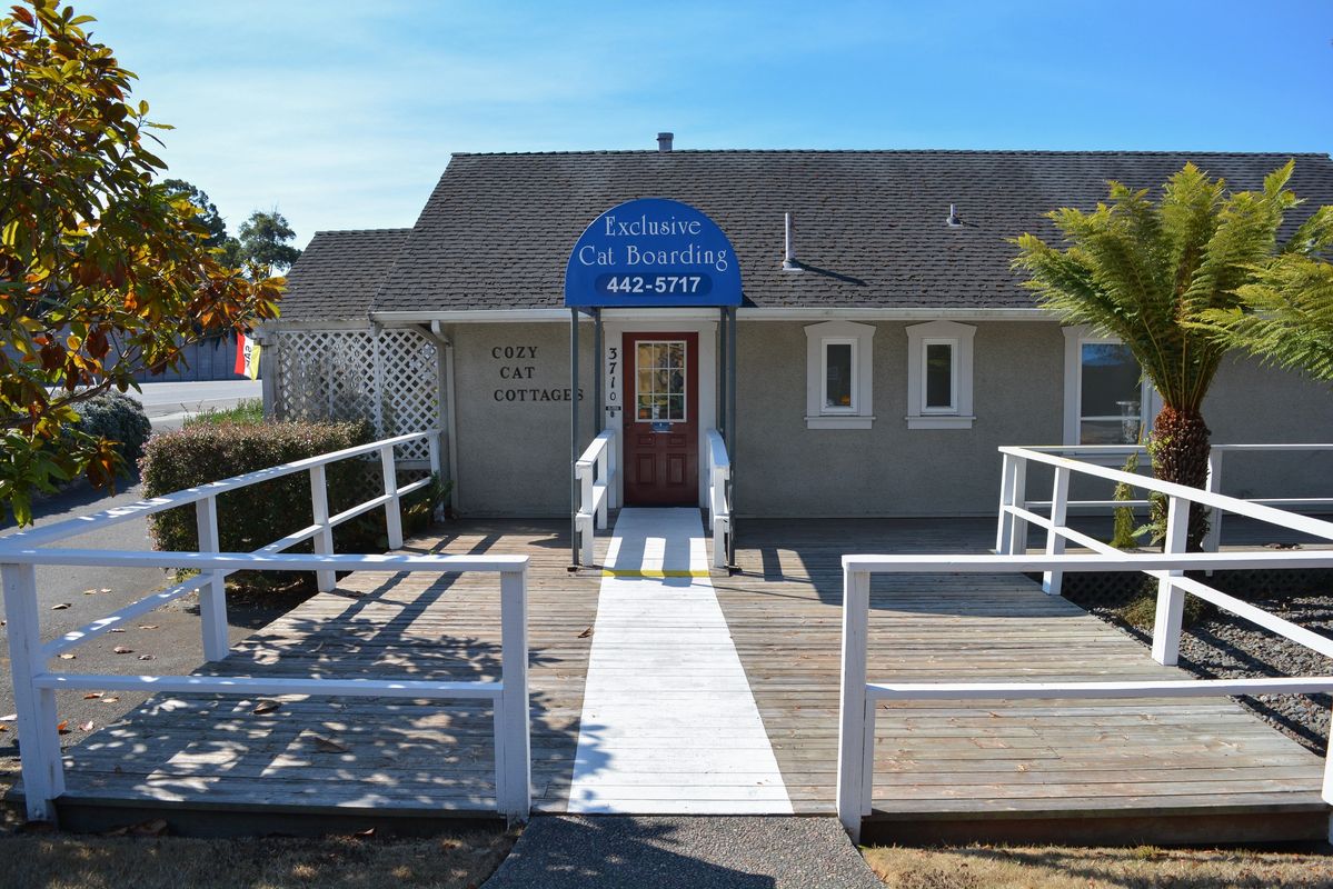 cozy cat cottages eureka ca