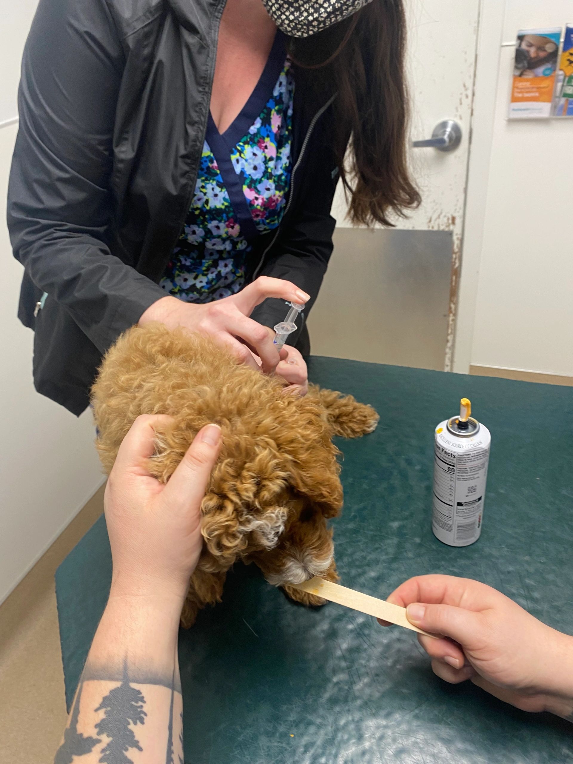 Vaccinations