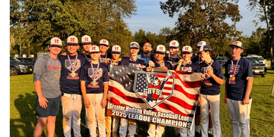 Fairfield County Captains 14u D2 Championship team.