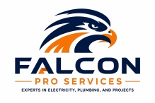 Falcon Pro Services